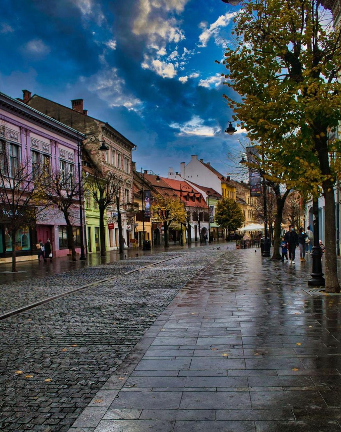 Phoenix Central Apartments Sibiu Esterno foto
