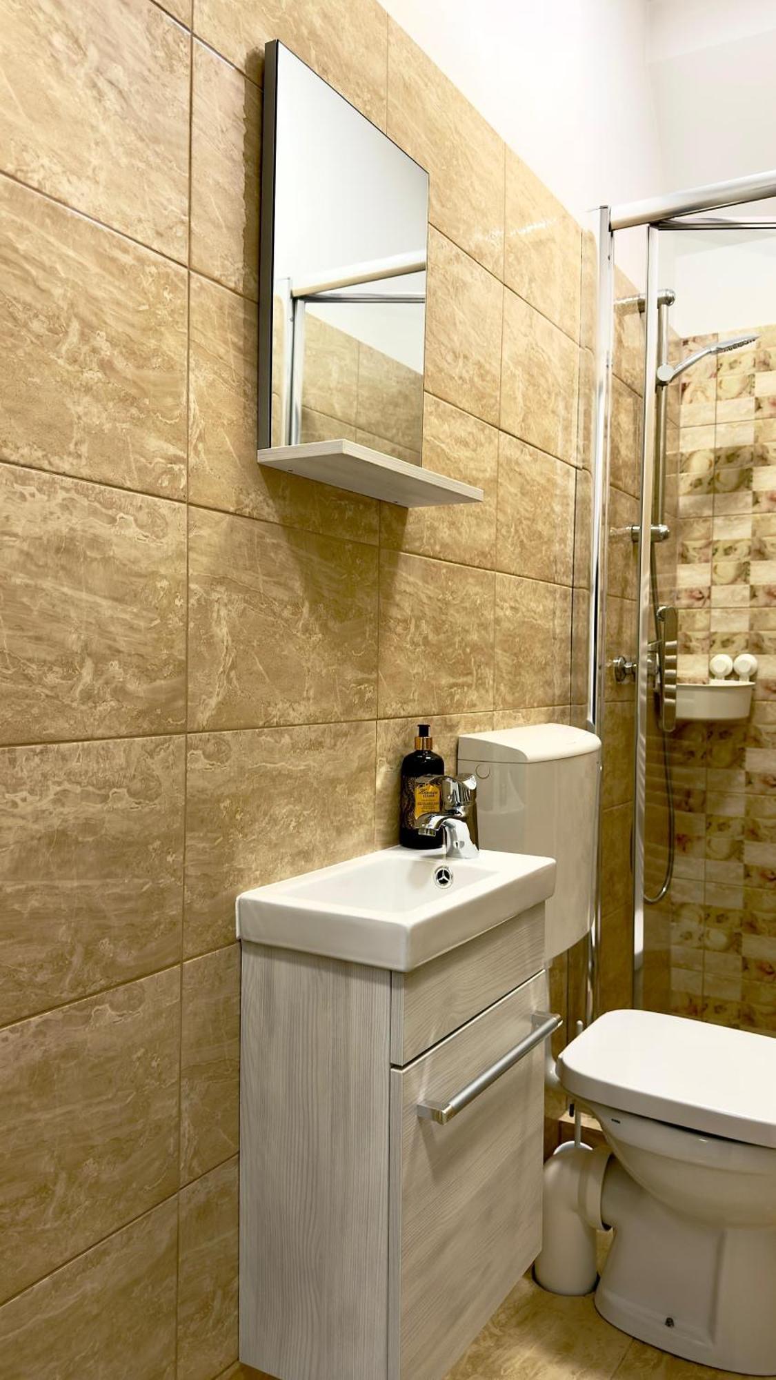 Phoenix Central Apartments Sibiu Esterno foto
